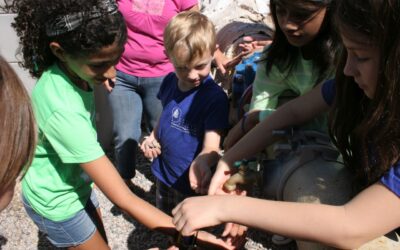 In the news for field trip