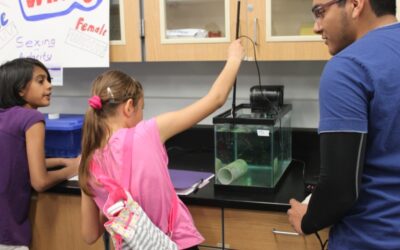 Visit to the electric fish lab