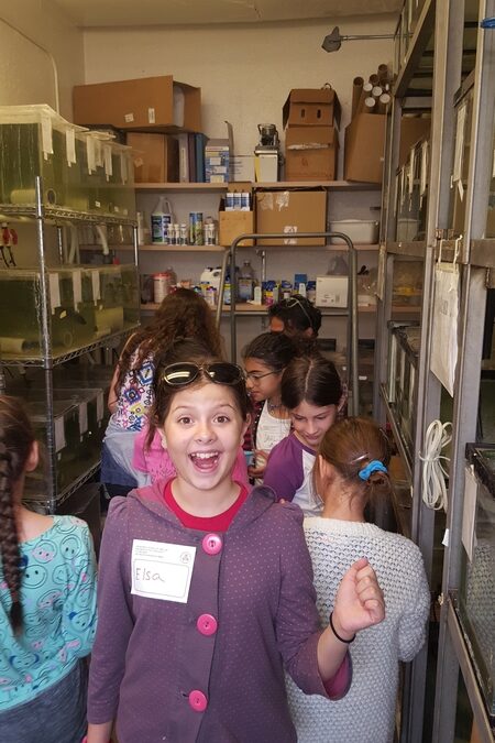 At the electric fish lab