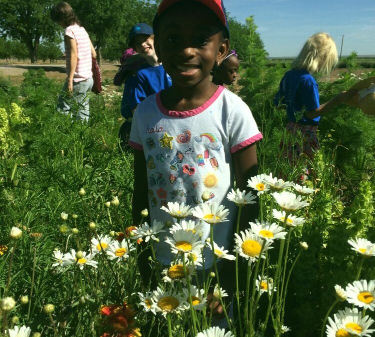 Students among the flowers