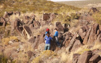 Field trip – Three Rivers Petroglyphs