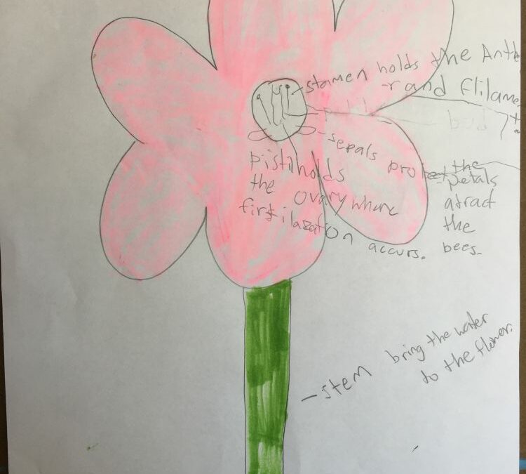 Young students learning flower structure and function
