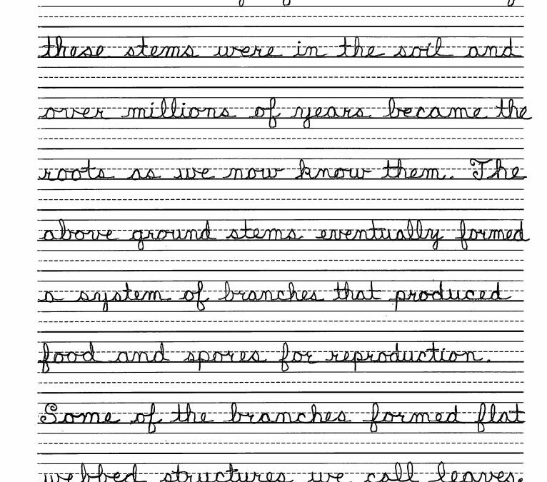 Yes, our students learn cursive
