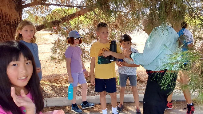 A group of kids standing under a tree

AI-generated content may be incorrect.